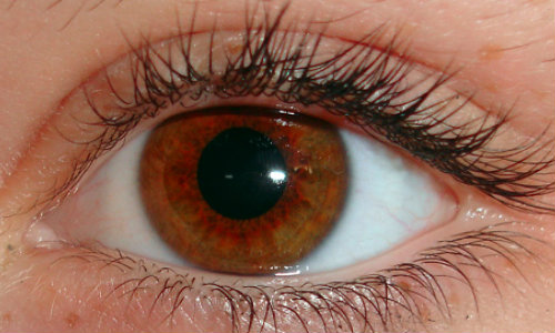 tratament articular al ochilor