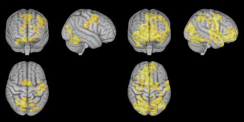 Cercetatorii au descoperit ce se intampla in creier atunci cand meditam