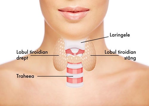 Dureri articulare tiroidiene cum să tratezi, Hipotiroidismul