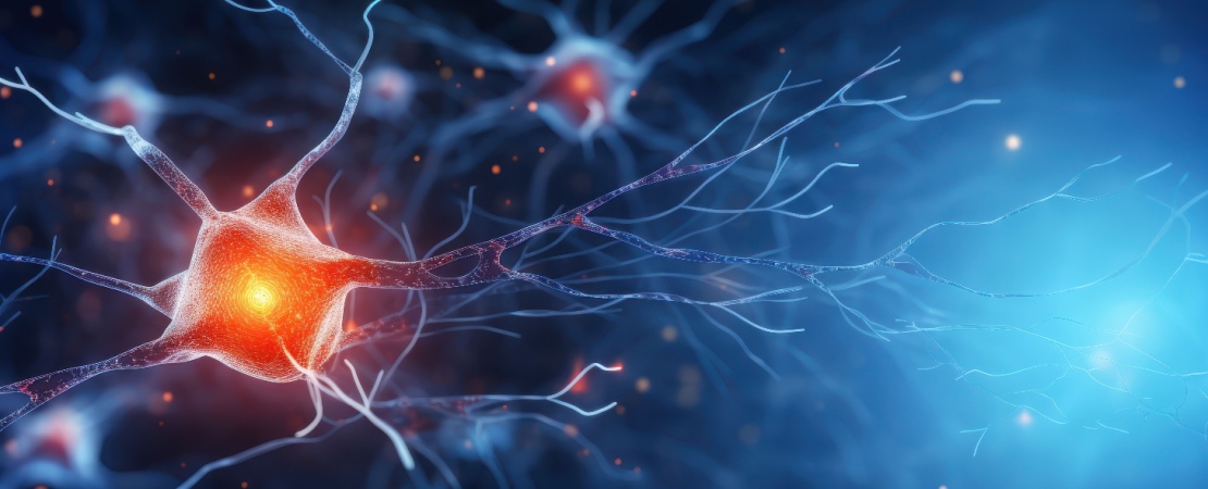 Neuronii oglinda: caracteristici, functii, rol | MedLife
