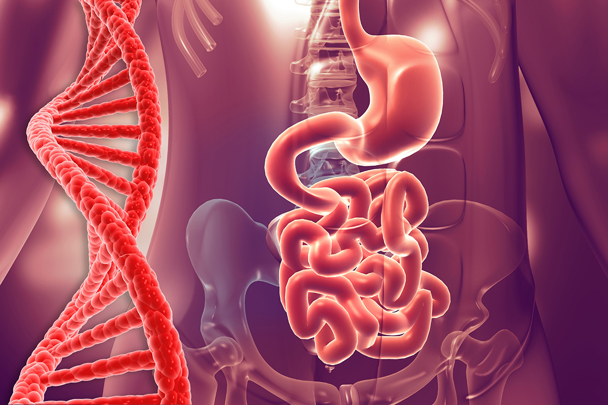 Anatomia sistemului digestiv uman cu o spirala de ADN langa.