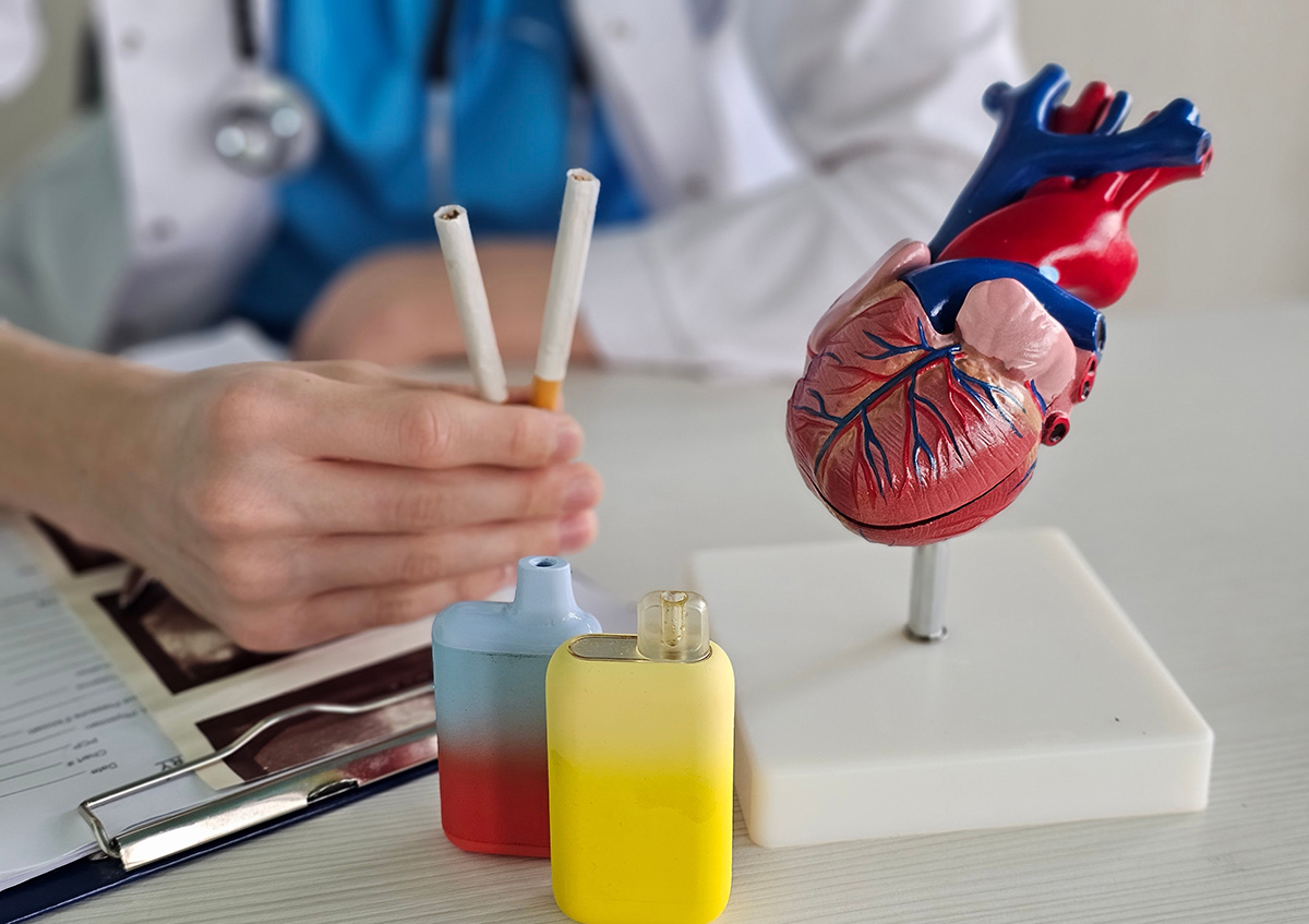Tigari electronice si clasice si model anatomic al inimii in fata unui medic, imagine ilustrativa pentru riscul cardiovascular asociat vapatului