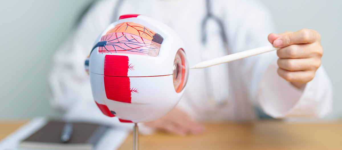 Medic examinand un model anatomic al ochiului uman cu ajutorul unei lupe, ilustrand structura ochiului si evaluarea medicala in cadrul consultatiilor oftalmologice.