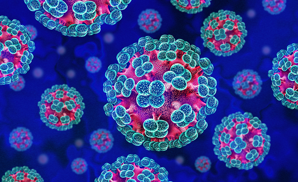 Ilustratie hantavirus