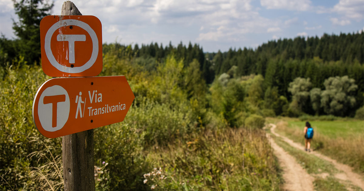 MedLife & Via Transilvanica 1