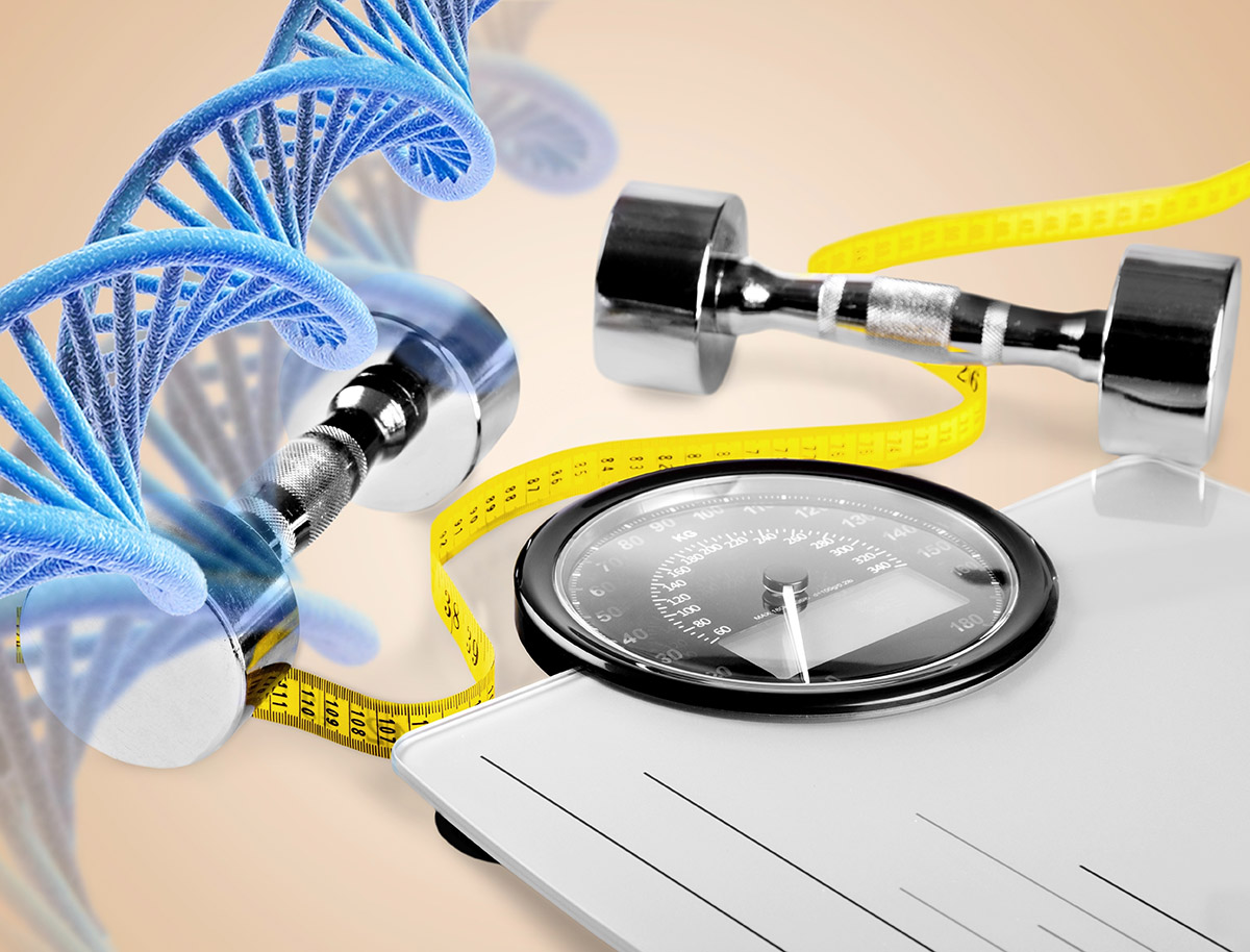 Structura ADN alaturi de gantere si centimetrul, simbolizand legatura dintre genetica si sport