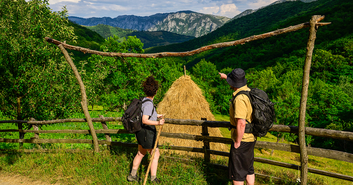 1. MedLife x Via Transilvanica_studiu mers pe jos