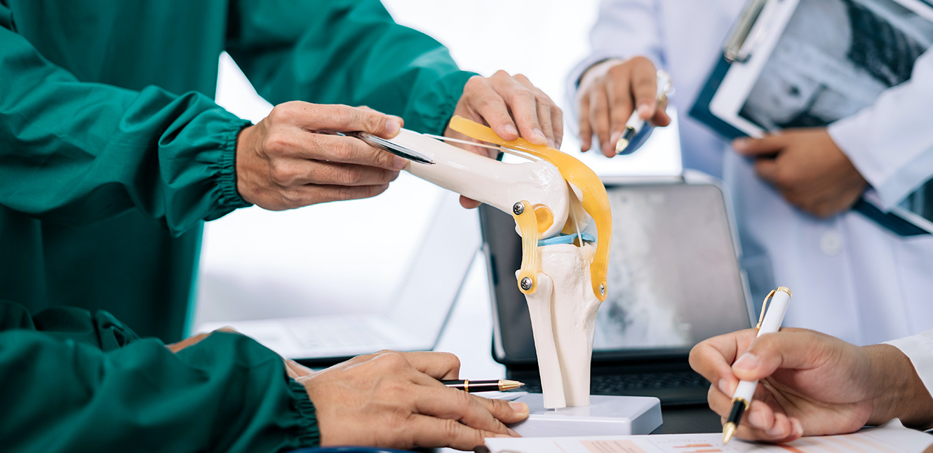 Model anatomic articulatie genunchi