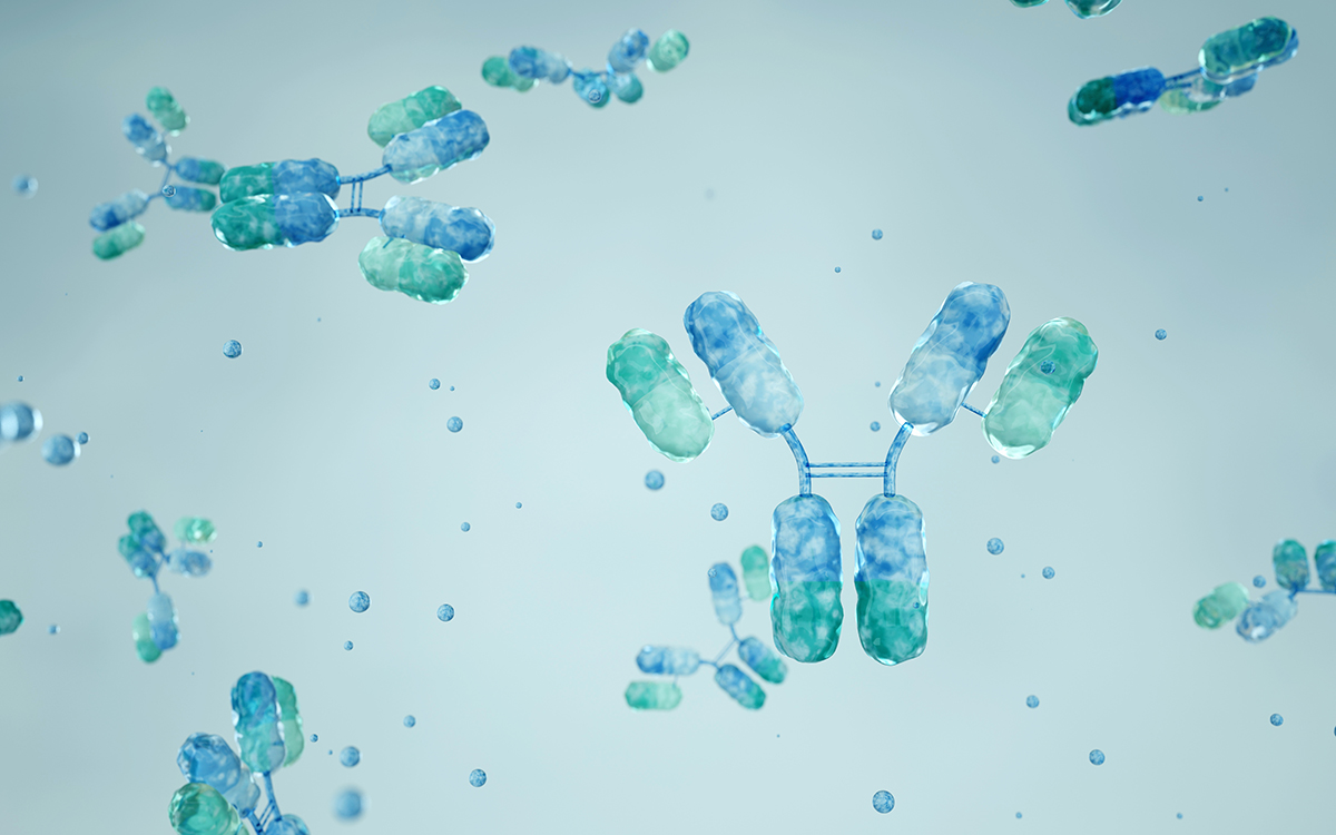 Ilustratie care prezinta interactiunea dintre anticorpii monoclonali si antigene