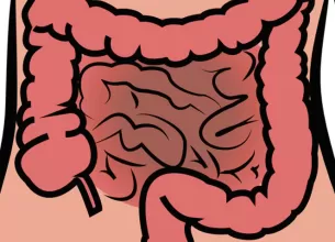 care sunt mecanismele naturale de vindecare a bolilor inflamatorii intestinale