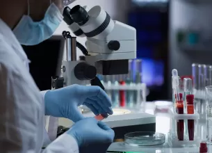 ce sunt anticorpii si care este rolul lor in organism