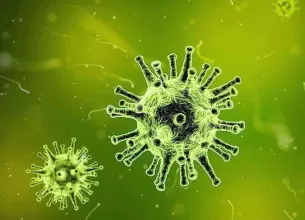 frica de boli contagioase si imaginea de sine