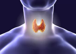 labirintul hormonilor tiroidieni labirintul hormonilor tiroidieni