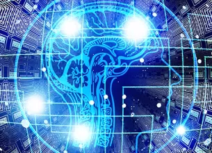 mecanica neuronala a motivatiei cum decide creierul sa faca un efort
