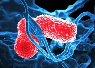 microbiomul tractului urinar si prezenta virusurilor care distrug bacteriile rezistente la antibiotice