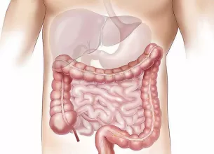 mucusul ar putea fi cheia pentru tratarea bolilor colonului si cailor respiratorii