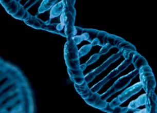 noi gene care favorizeaza aparitia cancerului