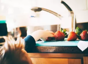 nutritia copiilor motivele pentru care parintii se lupta cu dimensiunea portiilor de mancare