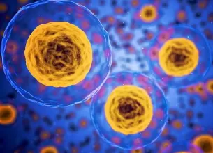 raspunsul celulelor la factorii de stres un model pentru pentru tratarea bolilor metabolice si neurodegenerative
