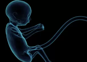 specialistii au facut primul pas catre tratarea bolilor congenitale inainte de nastere