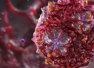 Reprezentare grafica pentru enterovirus