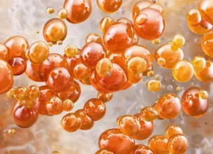 Imagine la microscop cu Saccharomyces boulardii, microorganism benefic folosit ca probiotic