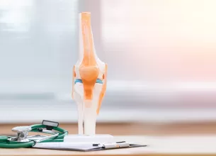 Pe un birou medical se afla un model anatomic clar al genunchiului, folosit in clinica