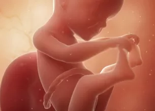 Ilustratie 3D cu fat uman in saptamana 25 de dezvoltare intrauterina