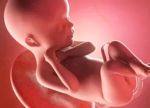 Ilustratie medicala 3D cu fat in dezvoltare intrauterina