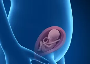 Ilustratie medicala cu femeie insarcinata si fat vizibil in saptamana 23