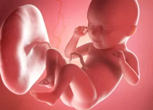 Ilustratie medicala 3D a unui fat in uter in saptamana 35 de sarcina