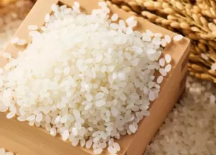 Planta si boabe de orez in vas