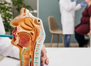 Control ORL, cu model anatomic in prim plan si medic si pacient in fundal