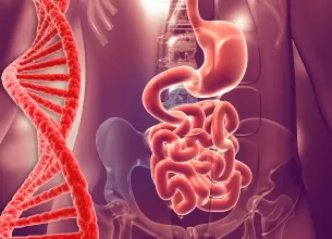 Anatomia sistemului digestiv uman cu o spirala de ADN langa.