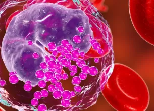 Ilustratie 3D a unui bazofil, tip de celula alba din sange, evidentiind structura si rolul sau in raspunsul imun si reactiile alergice ale organismului.