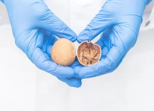 Imagine cu doua nuci, concept pentru cancerul testicular