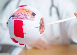 Medic examinand un model anatomic al ochiului uman cu ajutorul unei lupe, ilustrand structura ochiului si evaluarea medicala in cadrul consultatiilor oftalmologice.