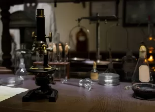 Concept pentru cercetarile medicului Mina Minovici