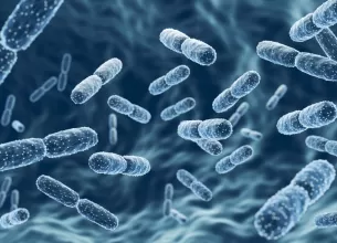 Ilustratie 3D cu bacterii probiotice Lactobacillus pentru sanatatea intestinala