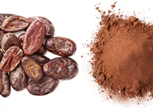 Bucăți de ciocolată neagră și boabe de cacao