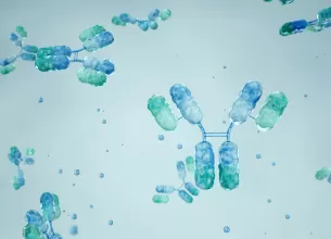 Ilustratie care prezinta interactiunea dintre anticorpii monoclonali si antigene