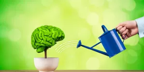 Imbunatatirea memoriei si atentiei metode si tehnici pe care trebuie sa le stii