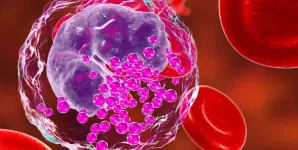 Ilustratie 3D a unui bazofil, tip de celula alba din sange, evidentiind structura si rolul sau in raspunsul imun si reactiile alergice ale organismului.