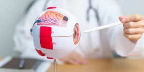 Medic examinand un model anatomic al ochiului uman cu ajutorul unei lupe, ilustrand structura ochiului si evaluarea medicala in cadrul consultatiilor oftalmologice.