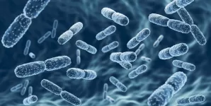 Ilustratie 3D cu bacterii probiotice Lactobacillus pentru sanatatea intestinala