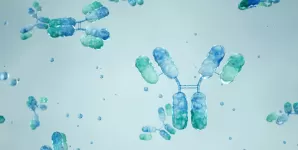 Ilustratie care prezinta interactiunea dintre anticorpii monoclonali si antigene