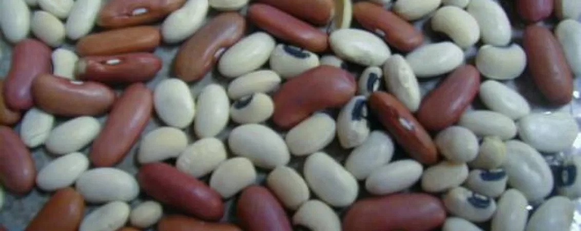 3 alimente care ne ajuta sa slabim