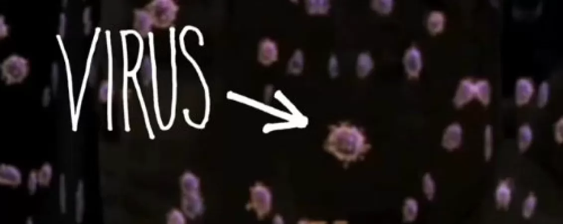 ce trebuie sa stim despre bolile autoimune