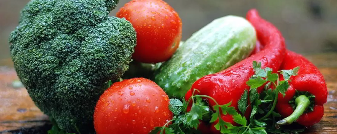 cum influenteaza anatomia creierului alegerile alimentare