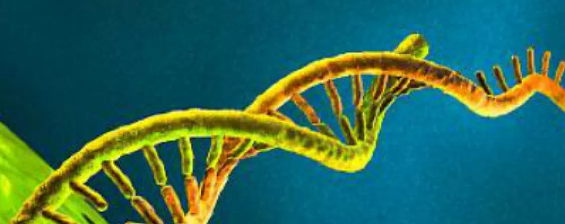 fobiile ar putea fi amintiri transmise genetic de la stramosi